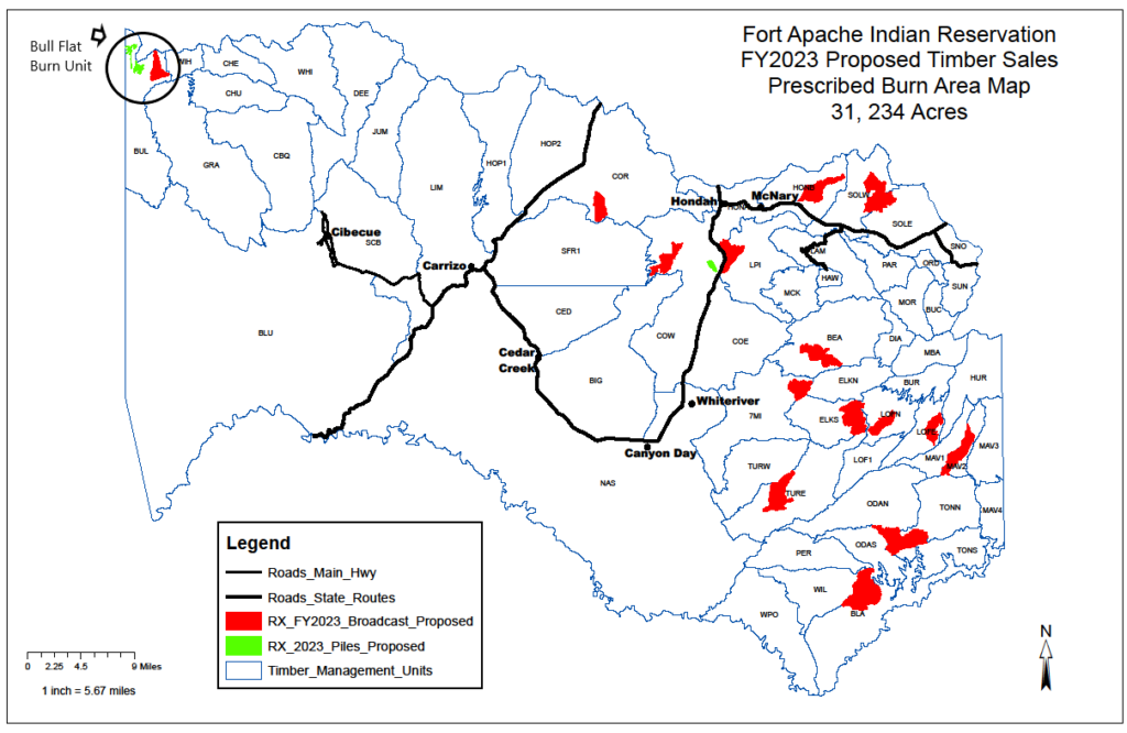 PILE BURNING PLANNED IN THE BULL FLAT BURN UNIT