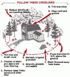 This diagram shows you how to defend your home from wildfire.